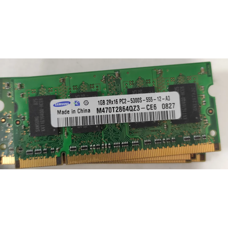 Samsung1GB 2Rx8 PC2-5300S-555-12-E21GB