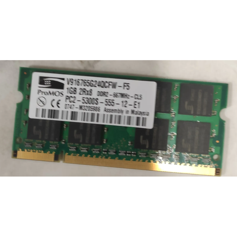 ProMOS1GB 2Rx8 PC2-5300S-555-12-E11GB