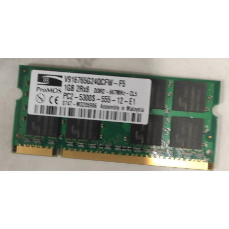 ProMOS1GB 2Rx8 PC2-5300S-555-12-E11GB