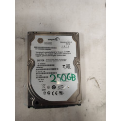 SEAGATE250GB